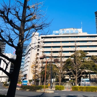 the Diet（国会）