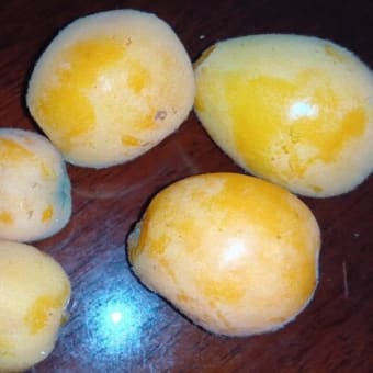 庭の黄色いもの