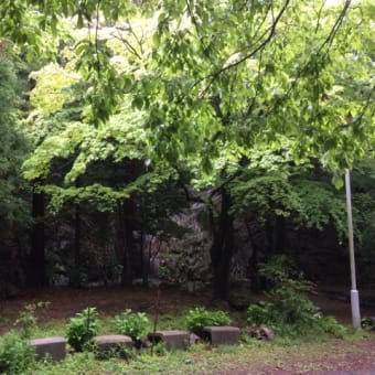 平成最後の岐阜県金華山は幻想的でした。