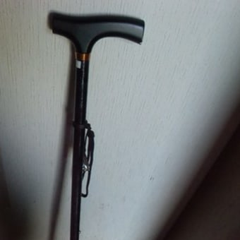 私の一年　①一病息災