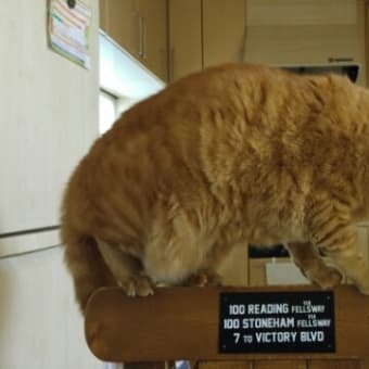 やっぱり！！