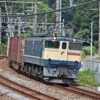 東海道旅客線を走る貨物列車を追った２８日