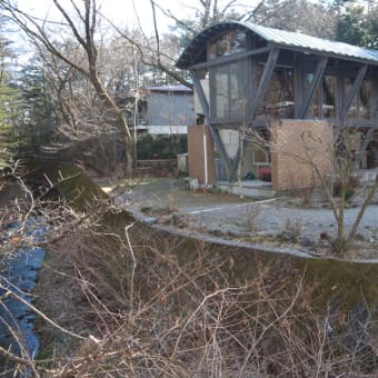 厳冬の軽井沢：雲場池通りと枯れ木の並木道