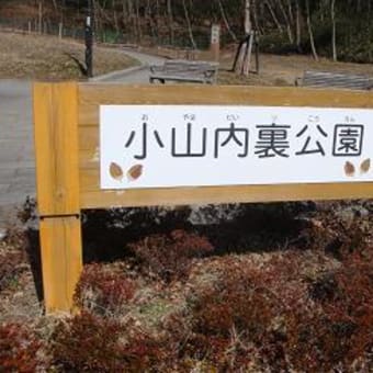 小山内裏公園に行って来ました。