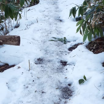 三角山雪の自然歩道！