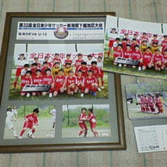 別なパネルが届きました。