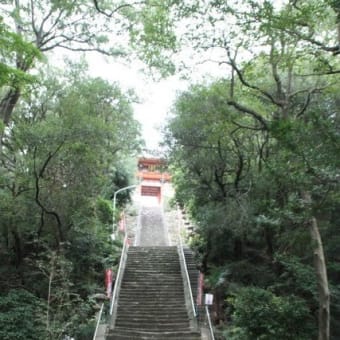 紀州徳川ゆかりの地　和歌山（１）