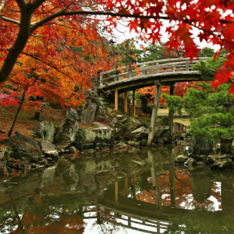 玄宮園　其の２（最終回）　（2011年12月06日　火　薄曇り　EOS5D EF24-105mmF4ISL）