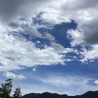 山里の過ごし易い昼下がり