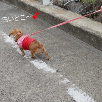 雨が降る前に