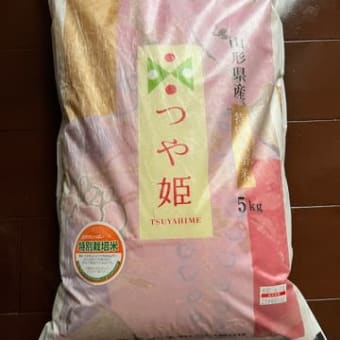 通院日