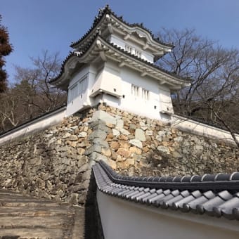 桜祭りの下見に龍野へ行ってきた