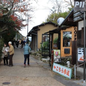 今年も京都へ