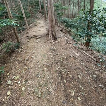 菩提山城に登ってきました