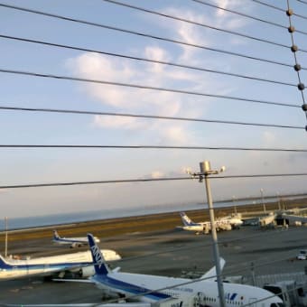 高知へ　１１月１１日（金）
