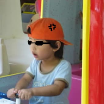 トウカイドンを探して