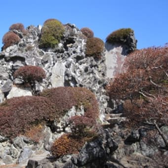 江戸川CRを走りながら富士登山をした