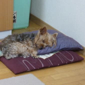 なまくらなまくら
