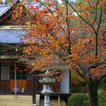 善水寺（滋賀県湖南三山）其の2（完）（2011年12月05日　月　ＥＯＳ　５Ｄ）