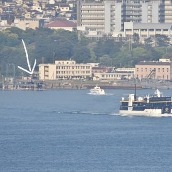 呉基地の満艦飾！などなど、、、（その２）