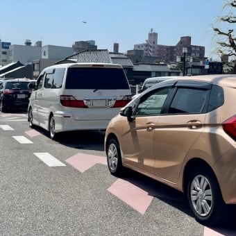 花は満開、車も人も、いっぱい。あす日曜も晴天の予報。