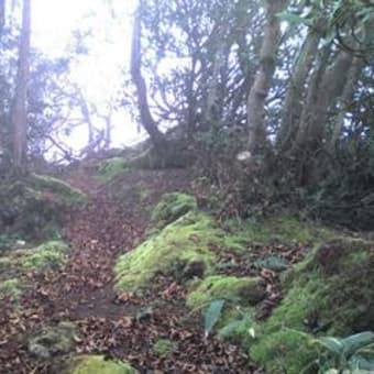 大倉山山頂リアル画像