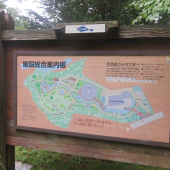 2016年10月12日　水曜日　「森の中水族館」