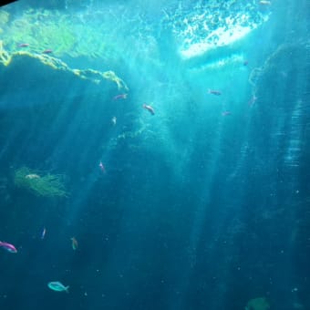 はじめての旅行