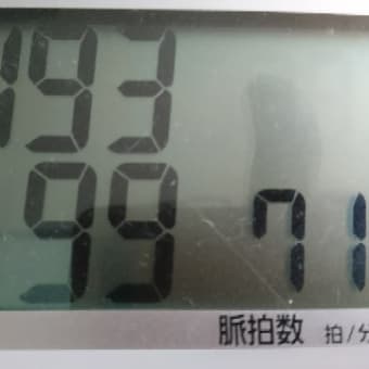 ♯チワワの太りすぎ