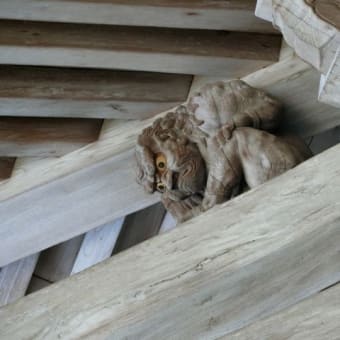 （株）葉月社員研修旅行記２日目（姫路編）