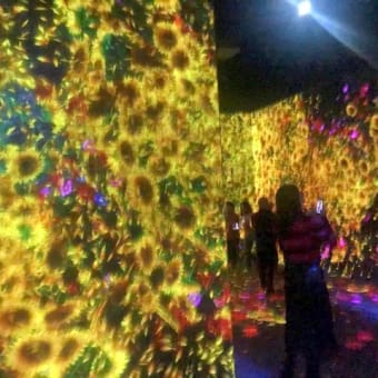 TeamLab〜Part1〜(2019年12月)