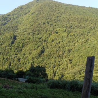 令和7年6月28日・今朝の東祖谷18℃（16.2℃）