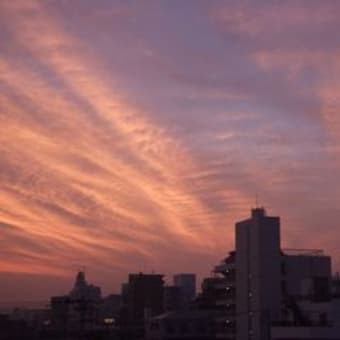 気持ちいい朝