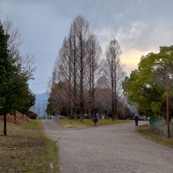 ３月１日～３月３１日　トレーニング