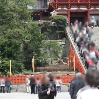 鎌倉さくら紀行