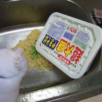 何を食べるか？－2－