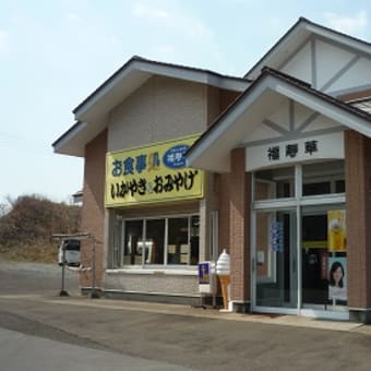 イカのカーテン