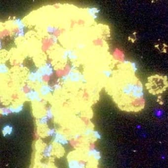 TeamLab〜Part1〜(2019年12月)