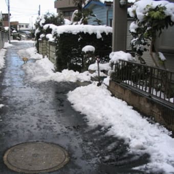 除雪記念