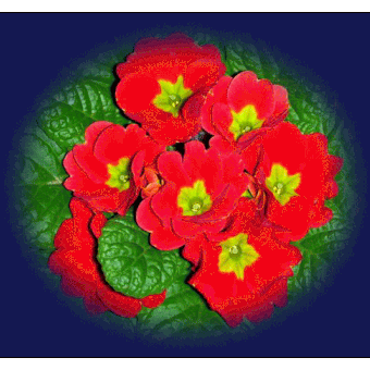 花花花