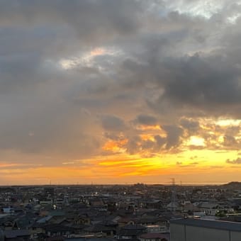 朝のお散歩🐩