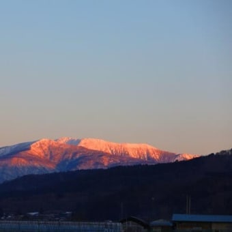 赤早池峰
