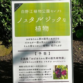 ルイーダの酒場やん