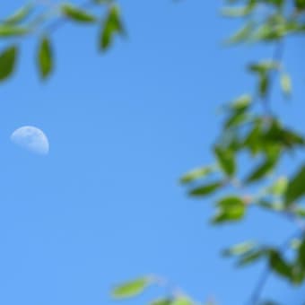 月よ明るく大地を照らしてほしい