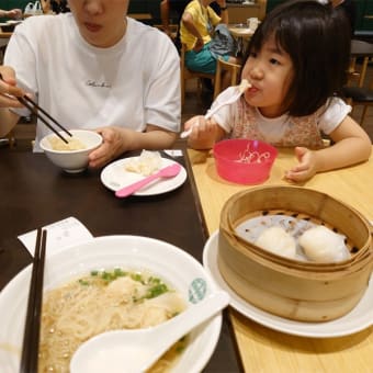 4歳娘とシンガポール旅行⑤　ホーカースとプールとゼルダ