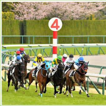 中京競馬場 203/17