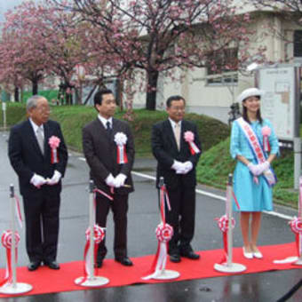 造幣局広島支局 花のまわりみち－八重桜 イン 広島－