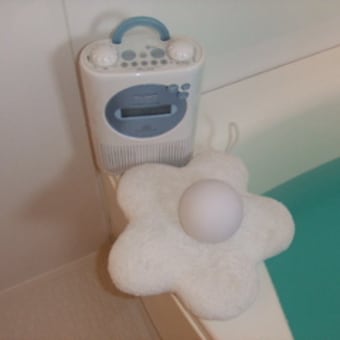 癒しの３点セット。