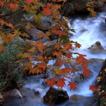 渓流の彩り　妹背の滝