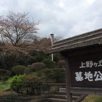 上野ヶ丘墓地公園